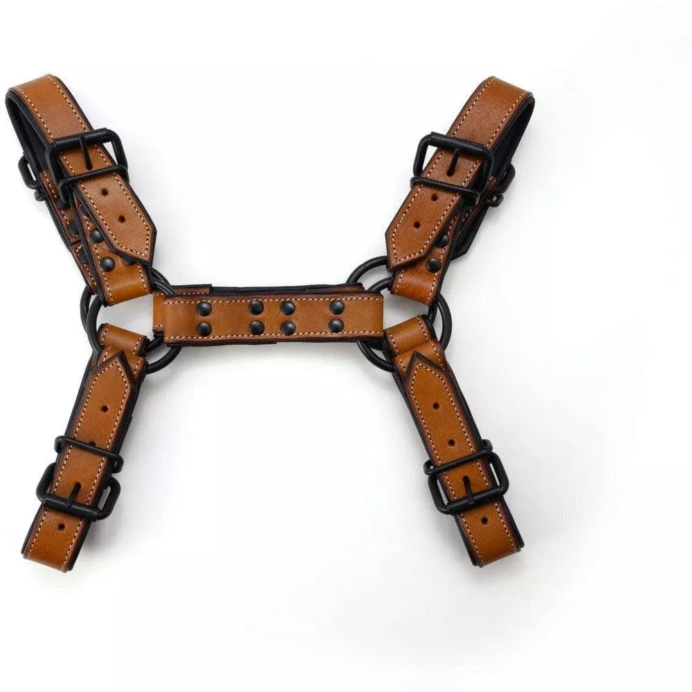 665 - Auburn Saddle Bulldog Harness
