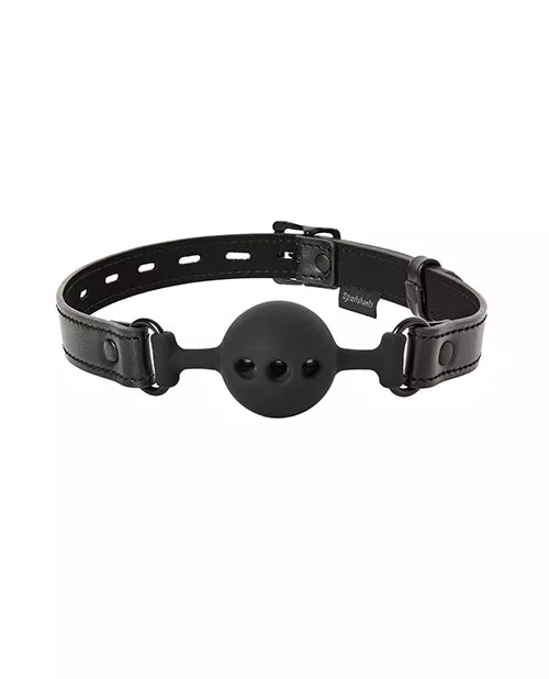 Breathable Ball Gag with Locking Buckle
