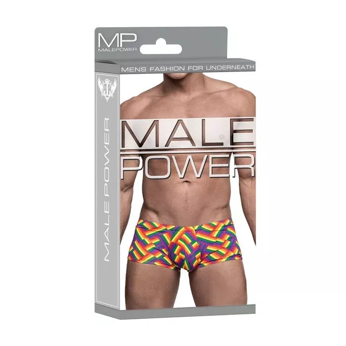 Pride Fest - Mini Short - Medium - Print